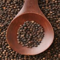 Vente en gros au meilleur prix de haute qualité poivre noir pur frais séché 500g traitement des matières premières livraison rapide en vrac acheter vente