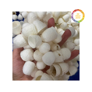 ผ้าไหมรังไหมคุณภาพระดับพรีเมียมสำหรับการใช้เครื่องสำอางและความงาม - Product Image 6