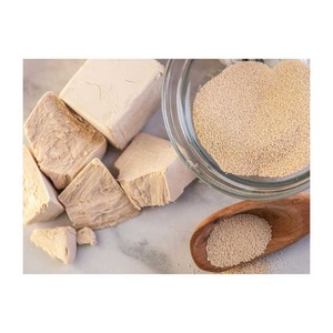 Suministro de fábrica de levadura seca instantánea de acción rápida, para hornear, pan, pizza, pastelería, calidad de exportación, Grado Alimenticio, certificado HACCP - Product Image 4