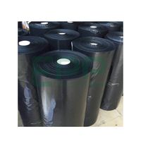 Film de paillage agricole biodégradable EPP Vietnam, PE souple noir/argent, haute qualité, pour riz, fruits, œufs, traité anti-UV, anti-humidité