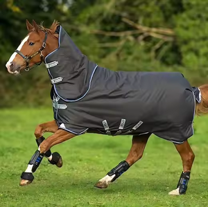 Fabricant-Direct Tapis de cheval équestre de haute qualité pour les couvertures de course d'hiver et d'été avec rembourrage en polaire et coton - Product Image 2