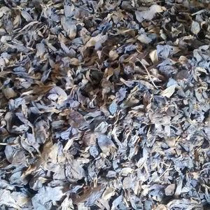 Meilleur Exportateur Nelumbo Nucifera Fleurs en vrac de l'Inde - Product Image 1