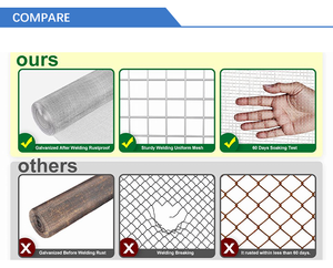 Grillage galvanisé 1 pouce 48 x 100 pieds, calibre 16, pour enclos à poulets et volailles - Product Image 5