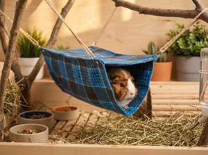 Small Animal Tunnel <b>Hammock</b> S 18cm – Durable Hanging Tunnel Bed for <b>Hamsters</b>, Ferrets, Rats, Chinchillas, Guinea Pigs - Product Image 2