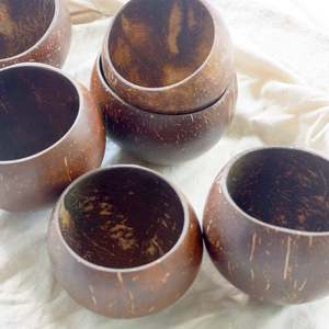 ถ้วยดื่มน้ำมะพร้าว/ถ้วยไอศกรีมกะลามะพร้าวแกะสลักโลโก้เลเซอร์จากผู้ผลิต Eco2go เวียดนาม - Product Image 2