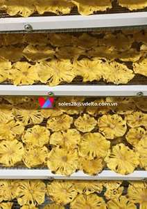 Tranches d'ananas séchées au four de fruits déshydratés de qualité supérieure // Mme Shyn - Product Image 6