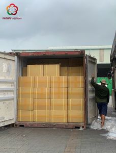 Polvo de café Soluble Robusta secado por pulverización de cartón de 20kg de Vietnam para reembalar sabor agrio y amargo Top seleccionado - Product Image 6