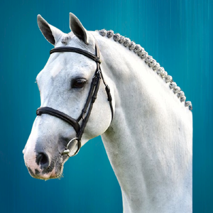 Bride de cheval chaîne diamante fantaisie Fabricant bride de cheval chaîne diamante Vente en gros Bride de cheval chaîne diamante de haute qualité - Product Image 5