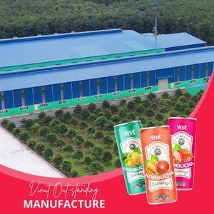 เครื่องดื่มสีดำ Kombucha 250มล. พร้อมน้ำเกรปฟรุตและน้ำผึ้งเครื่องดื่มผลิตจากเวียดนามสามารถปรับแต่งได้ - Product Image 5