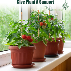 Palos de bambú flexibles sostenibles naturales y de alta calidad para usar en la agricultura para la fabricación de cometas fabricados en Vietnam - Product Image 4