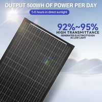Panneau solaire monocristallin Rvpozwer 100W à cadre noir, double vitrage, demi-cellules, efficacité 22%, garantie 25 ans pour stockage d'énergie sur toiture