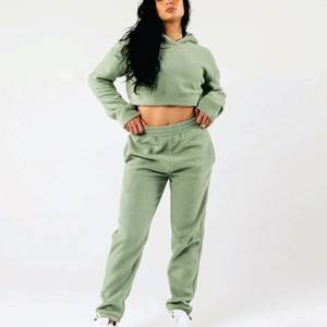 Veste polaire Sherpa pour femmes 2023 Hiver Chaud Doux Peluche Fermeture éclair Sweatshirt Femme Broderie Crop Hoodies Jacket - Product Image 1