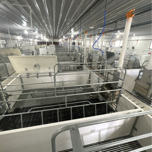 Caisses de mise bas en acier inoxydable utilisées par le fabricant vietnamien pour les porcs - Product Image 1