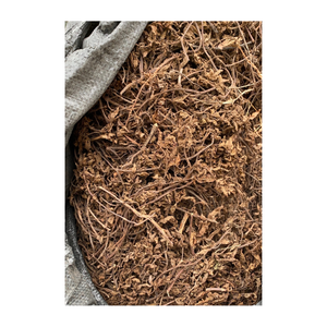 Mesona chinensis séché en vrac pour la fabrication de gelée d'herbe noire Herbe traditionnelle vietnamienne pour l'utilisation du thé rafraîchissant d'été - Product Image 6