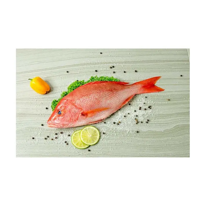ताजा समुद्री भोजन थोक में अच्छी गुणवत्ता वाली जमी हुई सफेद स्नैपर मछली