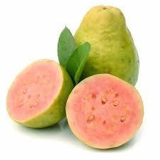 เครื่องฝรั่งแช่แข็ง OEM พร้อมขนาดที่กำหนดเองได้ในราคาไม่แพงคุณฮอลิเดย์ - Product Image 2