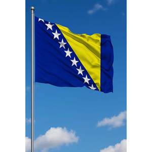 Drapeau extérieur de Bosnie-Herzégovine avec logo personnalisé 3x5 pieds, impression numérique sur soie et coton, mât en aluminium - Product Image 4