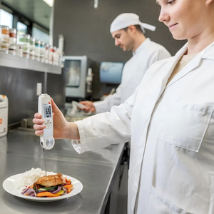 Testo 104-IR BT Infravermelho/Penetração Termômetro com Conexão App Cozinha Temperatura Medidor-50 a + 250 ° C - Product Image 6