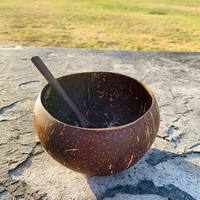 Distributeur Leveren Kokosnoot Acai Kommen Fabriek Direct Vietnam Handgemaakt Eco Biologisch Afbreekbaar Goedkoop