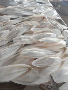 Os de seiche séché à bas prix, os de seiche coupé, naturel 100% séché au soleil pour aliments pour animaux domestiques - Product Image 3