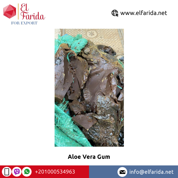 Grade a Premium Aloe Vera Gum From Egypt Best Quality Yellow and Black  Widely Selling in PP Bag Packaging| Alibaba.com