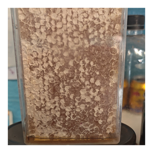 Opción de abastecimiento a granel de miel en panal con estructura de cera natural y presentación atractiva para los compradores - Product Image 1