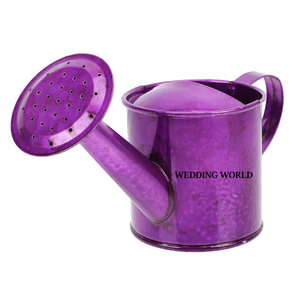 Nouvelle Arrivée Arrosoir Métallique Rond Couleur Personnalisable Arrosoir de Designer le Plus Vendu - Product Image 4