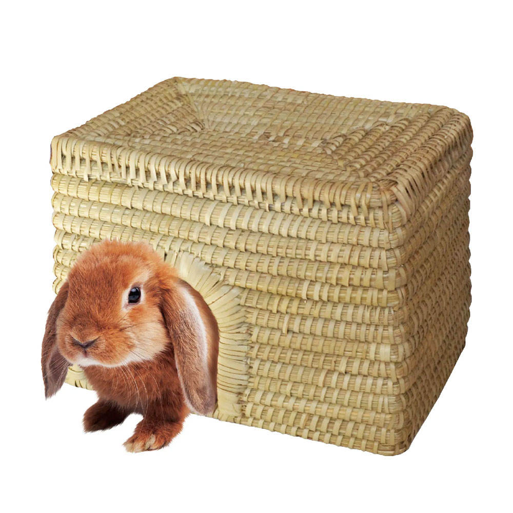 เหมือนกัน