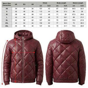 Chaqueta Acolchada con Capucha Brillante para Hombre, Ligera, Impermeable, de Plumón de Ganso, Abrigo de Invierno, Fábrica Personalizada OEM/ODM - Product Image 5