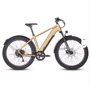 เทคโนโลยีขับขี่สบายสำหรับจักรยานไฟฟ้า Smart-Assist-Torque Sensing LM-RTT-DD-V2 ระยะไกล 48v โครงอะลูมิเนียม แบตเตอรี่ลิเธียม - Product Image 1