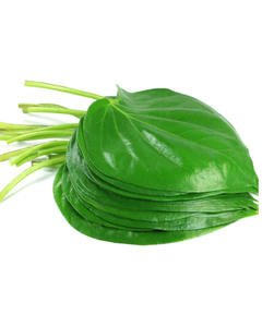 Hojas de Betel a Granel para Exportación - Product Image 1