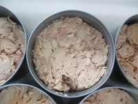 Prix de gros directs d'usine pour qualité supérieure OEM étain thon en conserve NW/DW 160/120gr origine Vietnam