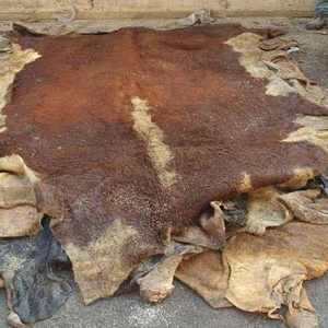 Wholesale Supplier of Bulk Stock of Raw Wet Salted and Dried Cow Hides / Skins Fast Shipping - Product Image 1
