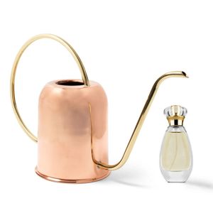 Arrosoir en métal noir élégant pour la maison et les plantes de jardin, équipement pour l'arrosage des plantes - Product Image 4