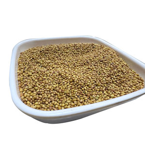 Trèfle Berseem | Idéal pour les pratiques agricoles biologiques - Product Image 4