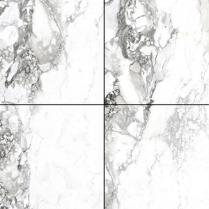 Un Design attrayant de 60x60cm est disponible avec des carreaux de céramique émaillés et émaillés avec une finition brillante utilisés pour l'hôpital - Product Image 2