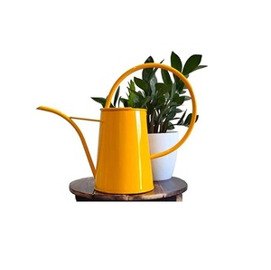 Luxury Watering Can Galvanized Simple Metal Water Can creative vintage water <b>cane</b> <b>garden</b> logo print watering can - Product Image 6