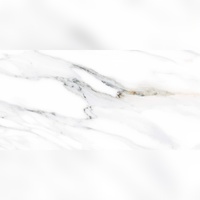 Panneaux de porcelaine vitrifiée polie effet brique de feu Whispering Willow 600x1200mm – Design moderne pour extérieur, salles de bain et centres commerciaux