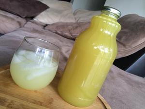 GINGEMBRE ENRAINÉ/CONCENTRÉ PROPRE/SOUTIEN BOTANIQUE/ÉQUILIBRE IMMUNITAIRE - Product Image 4