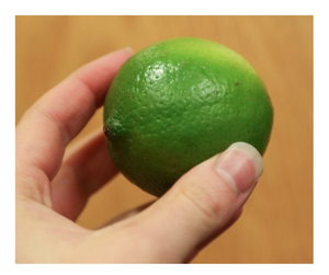 Lima fresca sin semillas/limón verde Hecho en Vietnam-Lima fresca/limón para exportación a granel listo para envío con las mejores ofertas - Product Image 1