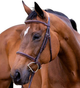ใหม่แฟนซียกHunter Bridleสีน้ําตาล/Tan Paddingทองเหลืองโลหะหัวเข็มขัดแฟนซีหนังม้าbridleที่มีรูปร่างทางกายวิภาค - Product Image 6
