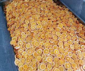 Rodajas de naranja secas fruta natural de grado de exportación con cáscara dulce adecuada para la decoración de cócteles vibrantes y bocadillos simples y saludables - Product Image 5