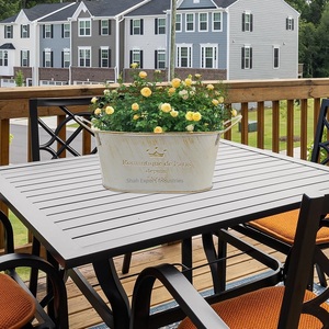 Macetas de flores de Metal galvanizado con asas de forma ovalada para el hogar, balcón, jardín, macetas decorativas con revestimiento blanco - Product Image 2