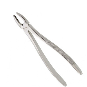 Fórceps de extracción dental personalizados patrón inglés Steeliness equipo dental de acero instrumentos de extracción dental - Product Image 1
