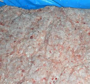 เนื้อไก่งวงพรีเมียม MDM Baader ไขมันไม่เกิน 12 เปอร์เซ็นต์ คุณภาพสูง แยกกระดูกด้วยเครื่องจักร สำหรับจัดหาจำนวนมากและส่งออก - Product Image 2