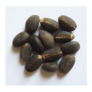 เมล็ดจatropha แห้ง100% - Product Image 1