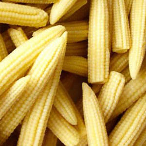 Grains de maïs sucré congelés-Haute qualité, approvisionnement en vrac - Product Image 2