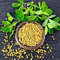 Minyak Fenugreek Trigonella Foenum Graecum Minyak Biji Murni Cold Pressed Kelas Kosmetik Produsen Grosir Ekspor