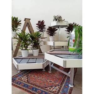 <b>Hexagonal</b> <b>Wood</b> Display Rack-White <b>Wood</b> Line AMOR - Product Image 3