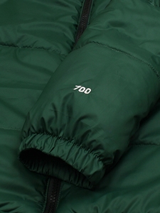 Chaqueta acolchada verde de calidad premium para hombre de Trending North Face para invierno, mantiene el calor con diseño de logotipo personalizado - Product Image 3